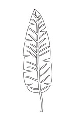 palm leaf ecology icon vector illustration design