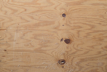 pine wood background texture