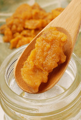 Japanese Food - sea urchin 