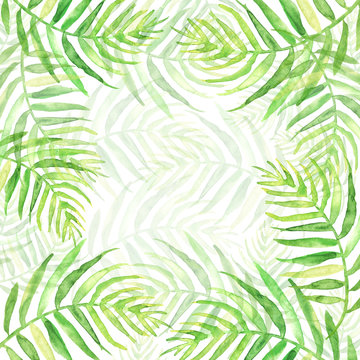 Watercolor Palm leaf background. Green on white watercolor hand drawn illustration. Green tropical palm leaf. watercolor watercolor card, postcard, invitation