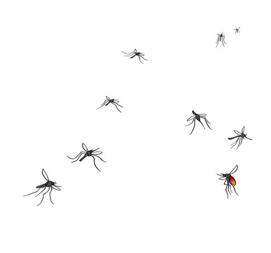 A flock of flying mosquitoes. Drunk blood and hungry mosquitoes. Silhouette, graphic image. Isolated on white background