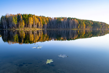 Fototapeta na wymiar bright autumn deciduous and coniferous forest reflected in the water of the lake in calm. multicolored foliage of autumn forest. mirror image