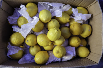 Close-up view group of fresh organic lemon on display at Vegetable and Fruit Stall of Local Farmers Market at Papar, Sabah.