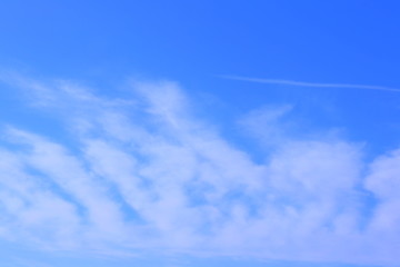 爽やかなスジ雲と青空