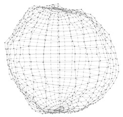 Abstract plexus sphere on white background