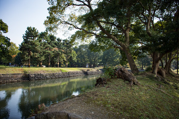 Japanese garden in the fall