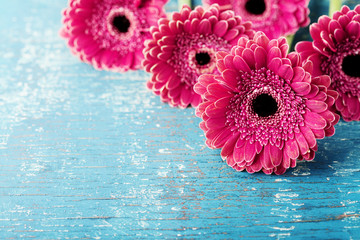 Schöne Frühlingsgrußkarte zum Mutter- oder Frauentag mit frischen Gerbera-Gänseblümchen-Blumen auf türkisfarbenem Hintergrund..