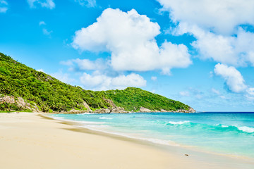 Fototapeta na wymiar tropical Beach Police Bay (white sand and turquoise sea) , south of Mahe, Seychelles