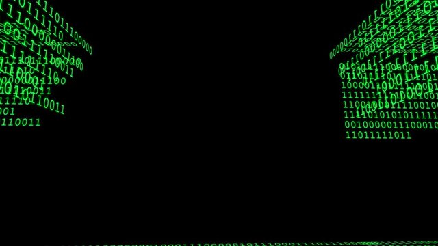 Binary Code 018 B - Green - 30 fps