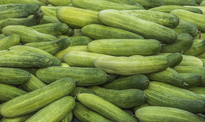 Asian cucumber