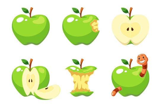 Green apple fruit vector