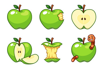 Green apple fruit vector