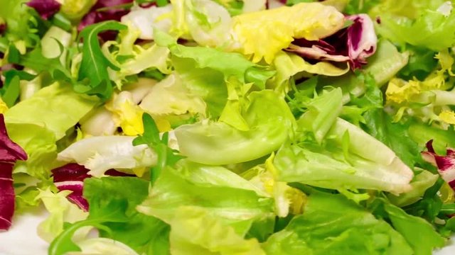 Macro video of mix of different fresh green salad leaves. Leaves of red and white radicchio, arugula, curled-leaved endive and frisee rotating isolated on white plate. Organic healthy diet food.