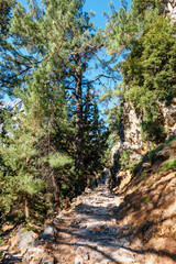 Samaria Gorge in central Crete, Greece