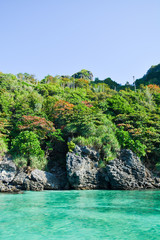 Naklejka na ściany i meble Coast of the island of Phi Phi.Azure water.Thailand