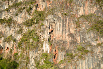 the rocky background of Phi Phi island