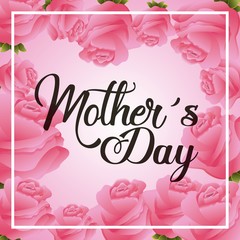 pink roses floral decoration greeting card mothers day vector illustration
