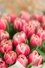 Fototapeta premium close-up. beautiful luxury bouquet of pink tulips flowers on table. the work of the florist at a flower shop.