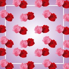cute roses frame ornament on blur background pattern vector illustration