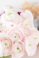 Persian buttercup. Bunch pale pink ranunculus flowers light background. Glass vase on pink vintage wooden table. Wallpaper