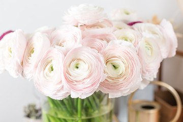 Persian buttercup. Bunch pale pink ranunculus flowers light background. Glass vase on pink vintage wooden table. Wallpaper