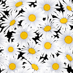 Seamless pattern with camomile flowers on a blue background
