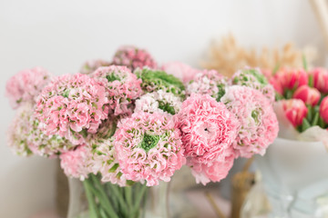 Persian buttercup. lace with many petals. Bunch pale pink ranunculus flowers light background. Wallpaper