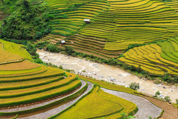 Terrace rice field at Mu  Cang Jai, Vietnam.
