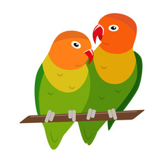 Lovebird parrots icon in flat style