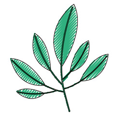 leafs plant ecology icon vector illustration design