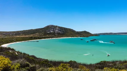 Foto op Canvas A view of Kraalbaai in the West Coast National Park in South Africa. The sea is a beautiful turquoise colour with some boats on the water © Louis