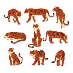 Fototapeta na wymiar Powerful tiger in different actions set of cartoon vector Illustrations on a white background