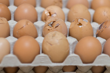 Focus on the cracked egg in the eggs tray.