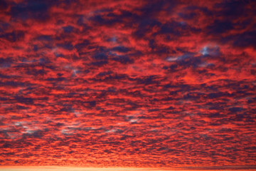 Feather clouds on a red sky