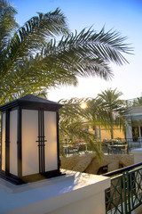 Sunset sun illuminates the palm branches and the hotel terrace in the resort