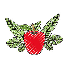 apple fresh fruit with leafs frame vector illustration design
