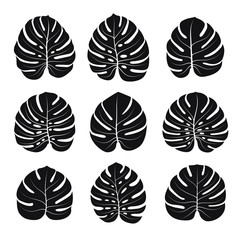 Set of silhouettes of monster leaves isolated on white background. Vector illustration.