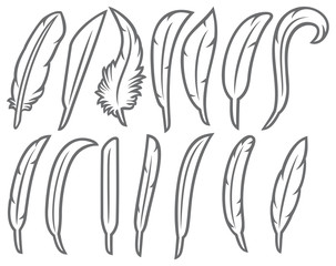 feathers thin line icons set