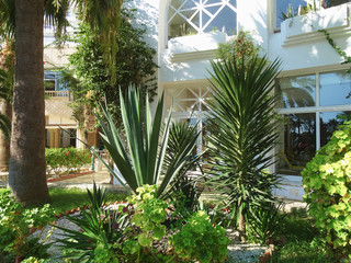 Beautiful flowers in the courtyard. © SKfoto