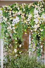 wedding flower decoration  . flower backdrop background. rose wall