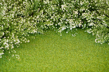 wedding flower decoration  . flower backdrop background. rose wall