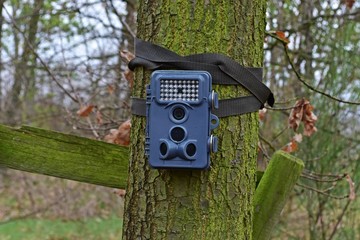 eine Fotofalle am Baum