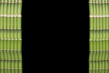 green bamboo around the edges of the photo, images on a black background, in the middle place for text