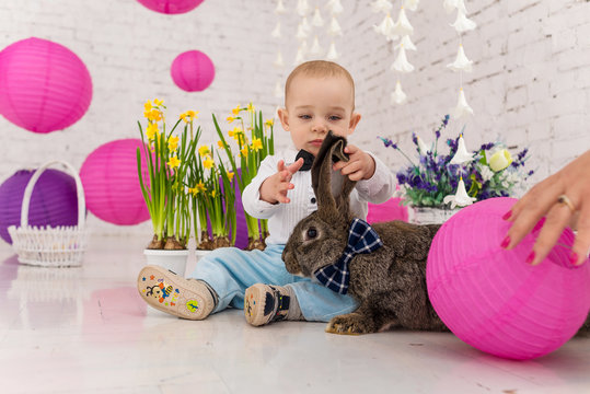 little boy and easter rabbit