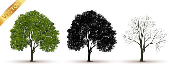 tree with a realistic