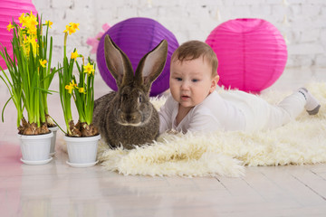 little boy in rabbit costume lays in flowers and easter rabbit