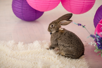 Easter rabbit in flowers