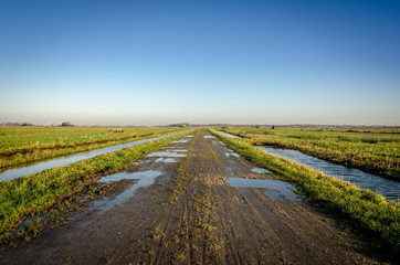 Fototapeta na wymiar Dirty wet sandy road in the Dutch grasslands