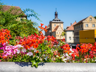 Bamberg  Altes Rathaus im Sommer