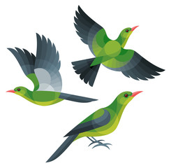 Stylized Birds - Green Oriole